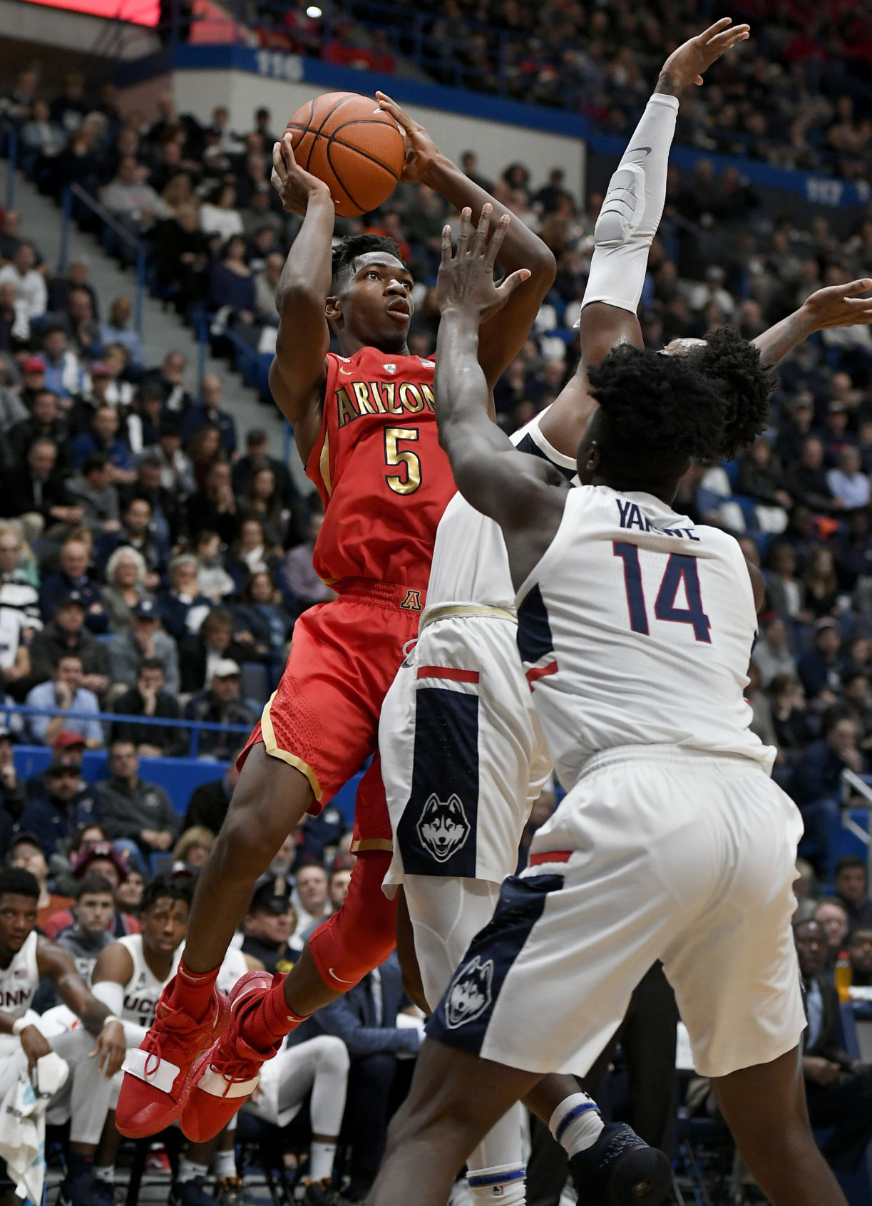 Arizona UConn Basketball